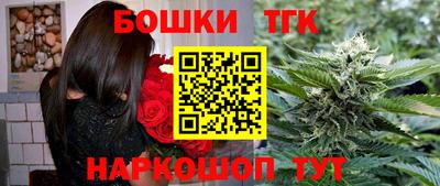 МДПВ Славгород