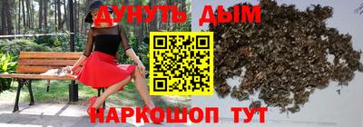 МДПВ Славгород